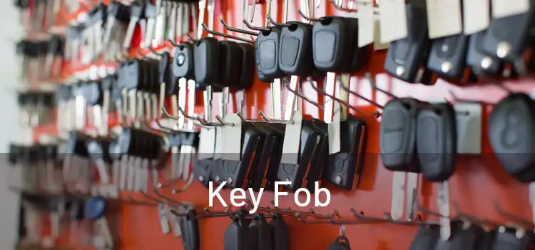  Key Fob 